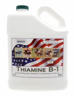 EQUINE AMERICA Thiamine B1 (płyn) - suplement dla koni w stanie stresu, które utraciły apetyt 3,8 l