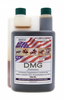 EQUINE AMERICA  DMG Solution