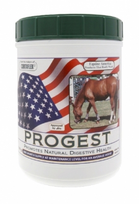 EQUINE AMERICA Progest WT - suplement na przyrost wagi konia 908 g