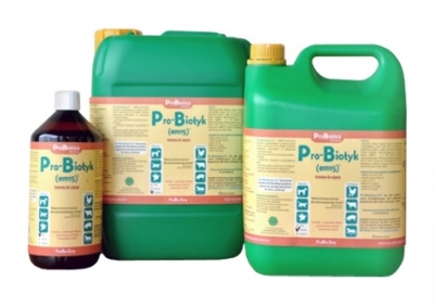 PROBIOTICS Probiotyk em15 5l