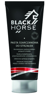 BLACK HORSE Pasta siarczanowa do strzałek 250 ml