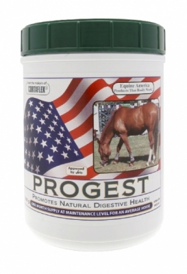 EQUINE AMERICA Progest-WT