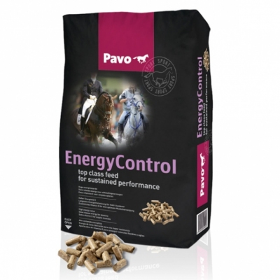 Pavo Energy-Control